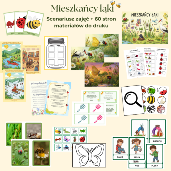 Mieszkańcy łąki – scenariusz zajęć