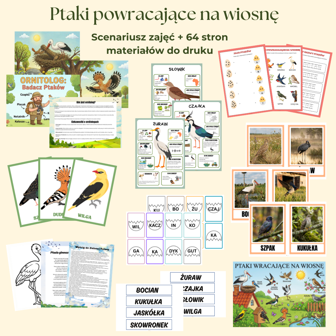Megapaka "Witaj wiosno" - obrazek 6