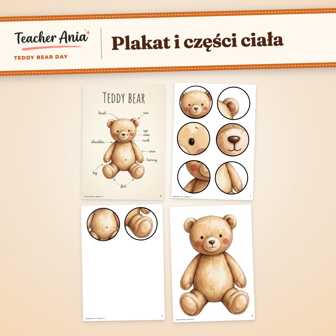 Teddy Bear Day – scenariusz zajęć – plakat i części ciała misia